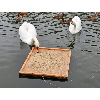 Кормушка  для уток и лебедей на воде . 