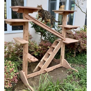 Когтеточка - тренажерный зал Cat Jungle Gym .